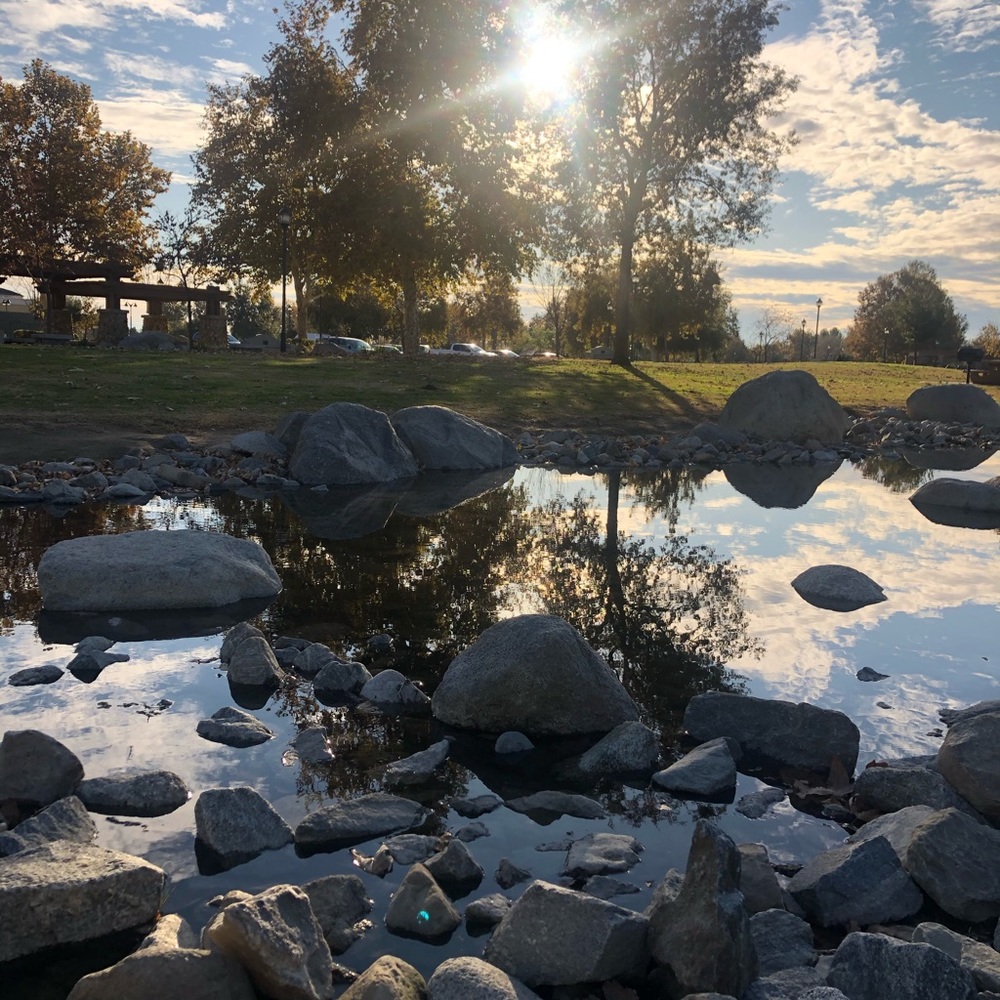 Meet your Posher, Annmeree